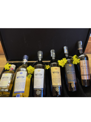 COMBO: Viva Italia! Italian Wine Collection | Ronco di Sassi
